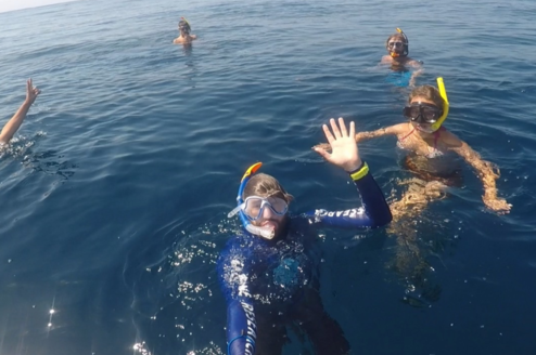 Volunteers in the Ocean